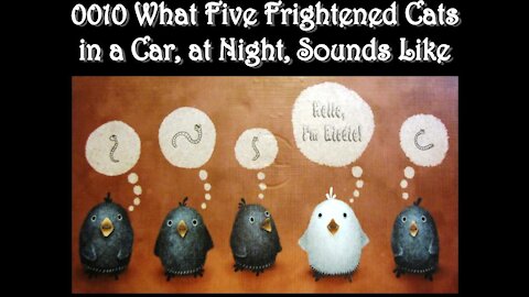 0010 Five Frightened Cats in a Car at Night