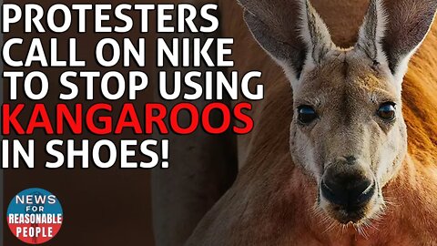 Nike Protesters in Portland: "Kangaroos are not shoes"