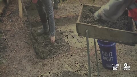 Historic site of cabin once owned by Harriet Tubman's father discovered in Dorchester County