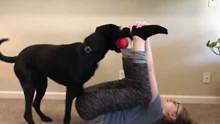 Une séance de yoga interrompue par un chien
