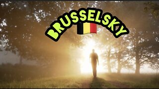 BRUSSELSKY