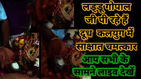 लड्डू गोपाल जी पी रहे हैं दूध कलयुग में साक्षात चमत्कार l Laddu Gopal drinking milk Live