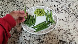 How to harvest Fava beans