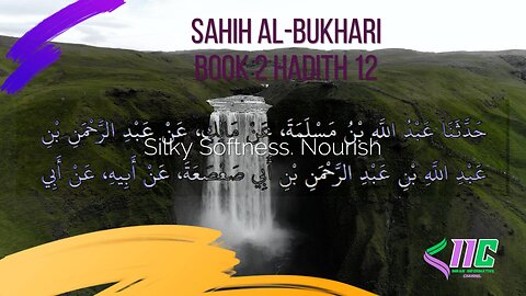 Sahih Al-Bukhari Book 2 Hadith 12