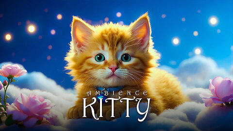 Relax with Cute Kitty Ambience: Stress-Free Moments!