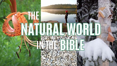 Bible Study: The Natural World in the Bible