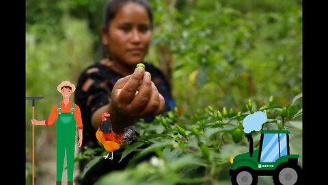 Nous avons misé sur ce qu’on appelait alors « l’agriculture alternative ». Ce concept, assez vague