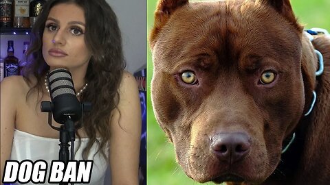 Mike & Saby Disagree On The UK Pitbull Ban