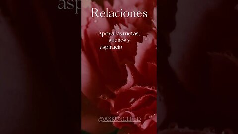 Consejos de Relaciones