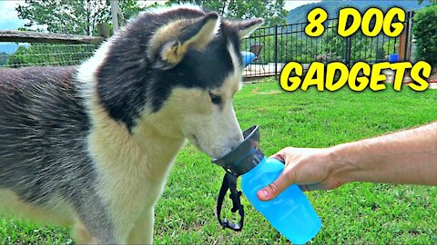 PET Hacks, Gadgets And DIY Crafts for your Dog & Puppy