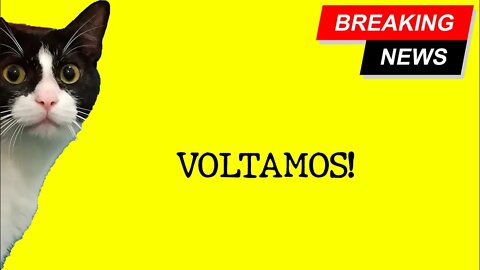 Voltamos - Breaking News