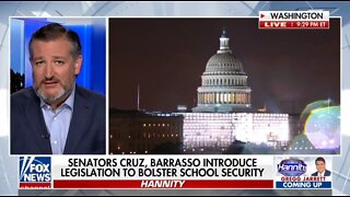 Ted Cruz To Democrats On Gun Bill: Target Criminals NOT Civilians