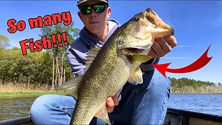 These Fish were on FIRE! | EPIC Bass Bite out of the CANOE!