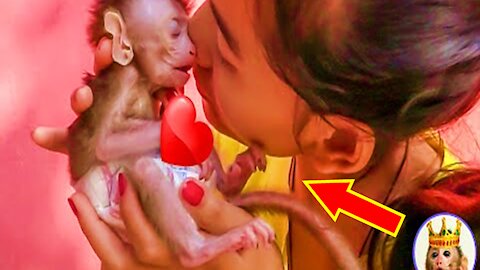 Poor Newborn Monkey Chaly.With.Sister- Monkey Animals 072
