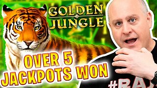 🐯 Epic Jackpot Hot Streak on Golden Jungle! 🐯 Over 5 Jackpots Won!