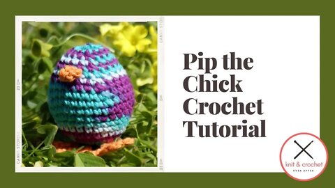 Left Hand Pip the Chick Part 1 Free Crochet Pattern Workshop