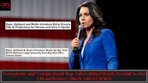'Transphobic' and 'Conspiratorial' Tulsi Gabbard Wants To Limit Section 230 and Title IX GREAT NEWS!