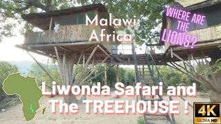 MALAWI Africa LIWONDA SAFARI and Amazing stay at Treehouses of Kutchire Lodge - 4K