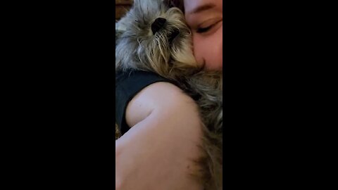 Grumpy doggy growls every time owner hugs him too much