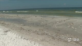 Doctors see an influx of patients with red tide irritant symptoms