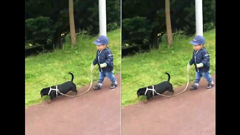 The kid walks the dog