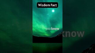 Wisdom Fact - #shorts #spiritual #fact #wisdom