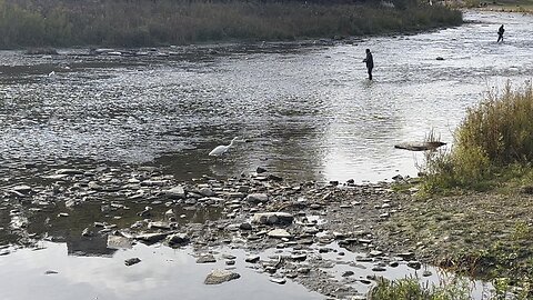 Humber River Old Mill fishermen