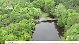 Walking Club: Exploring Boyd Hill Nature Preserve in St. Pete