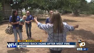 Horses back home after West Fire