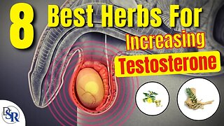 8 Best Herbs For 𝗜𝗻𝗰𝗿𝗲𝗮𝘀𝗶𝗻𝗴 𝗧𝗲𝘀𝘁𝗼𝘀𝘁𝗲𝗿𝗼𝗻𝗲 (Clinically Proven)