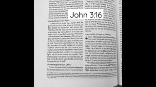 John 3:16, ESV