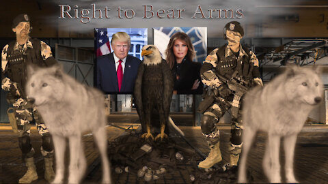 2nd Amendment ~ Right to Bear Arms