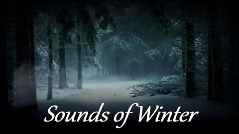 White Noise | Winter Wonderland | Wind Sounds | Sleep Sounds | Meditate | Relax | Sleep | Dream