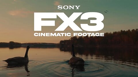 Sony FX3 Color Graded in Davinci Resolve