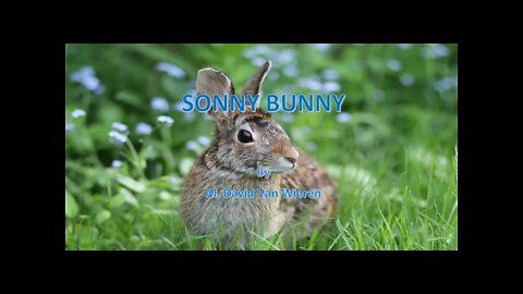 SONNY BUNNY book and song by David Van Wieren