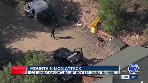 Officials say Colorado boy attacked by mountain lion 'doing well in light of the circumstances'