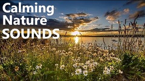 Calming Sounds, Wind, Thunder, Lightning, Rain, Birds, Flowers, Moving Clouds,Relaxing Nature Sounds