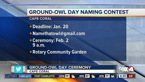 Owl-naming contest for 'Ground-Owl Day' in Cape Coral