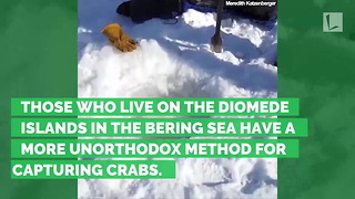 Inhabitants of Remote Island in Freezing Bering Sea Reveal Bizarre Method of Crab Fishing
