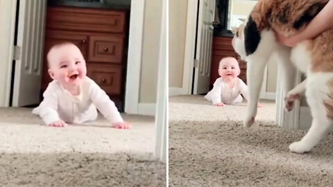 Funny baby playing peek a boo with cat