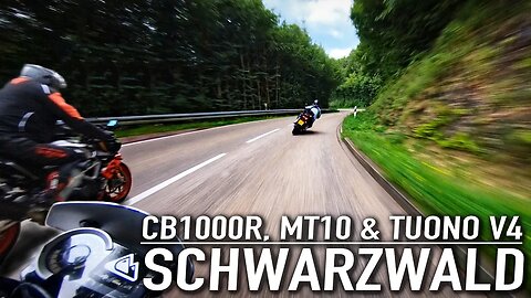 Vosges to the Schwarzwald | CB1000R, MT10 & Tuono V4!