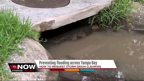 Preventing flooding across Tampa Bay
