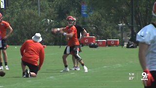 Bengals open training camp