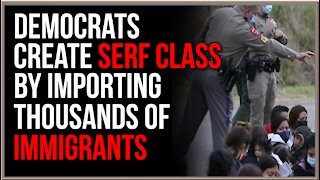 Democrats Create SERF CLASS By Importing Thousands Of Immigrants, Releasing Them Into The US