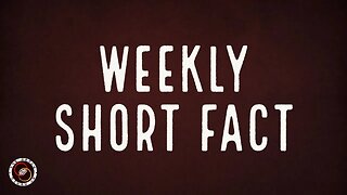 Weekly Short Fact | #14 | The World of Momus Podcast