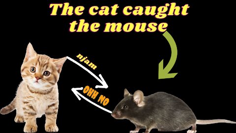 The cat caught the mouse