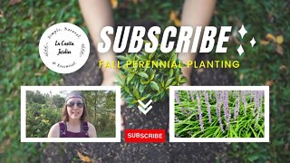 Fall Perennial Planting // Fall 2022
