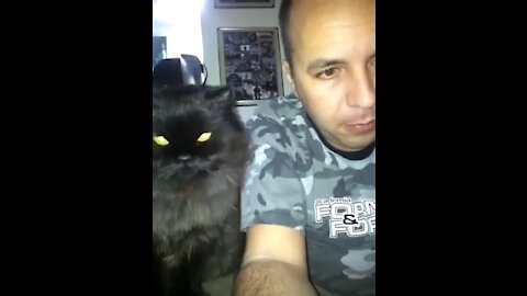 Cat Loves his Owner | Very cute video
