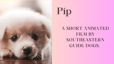 Pip || A short animated film by southeastern guide dogs.