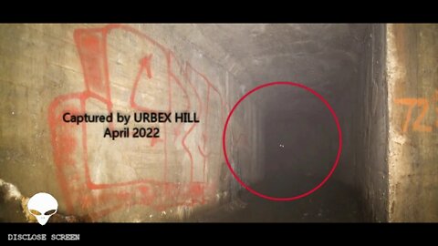 (MUST SEE) Strange alien creatures filmed by urban explorer deep inside abandoned tunnel system.